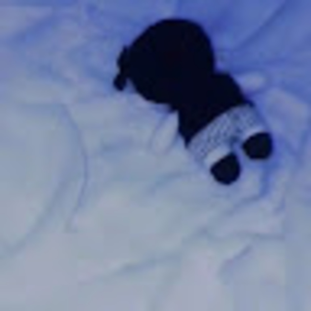 Meet your Posher, Joshua